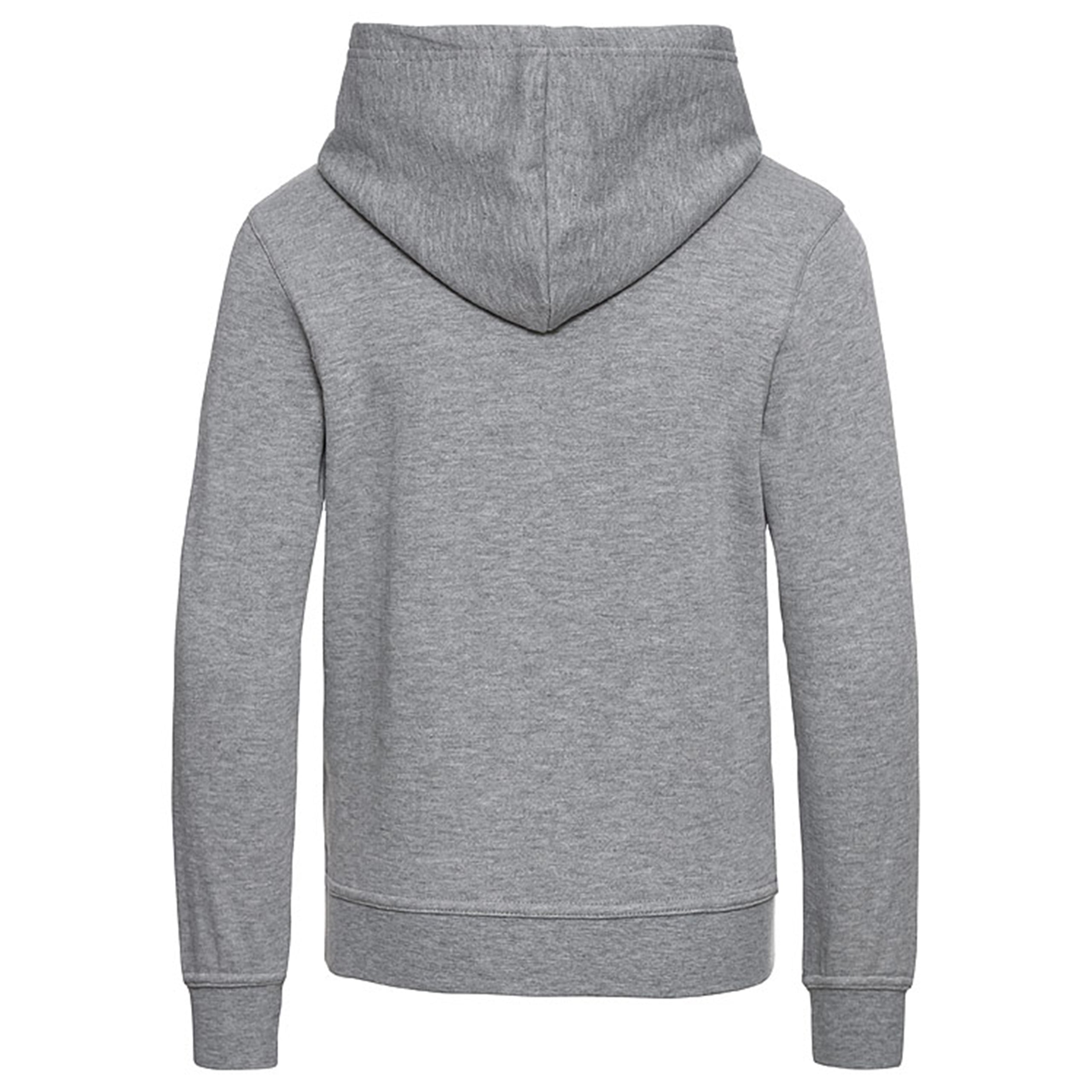 Hoodie_Ottomotor_Unisex_grau_BackMW8pK3iBNZmek