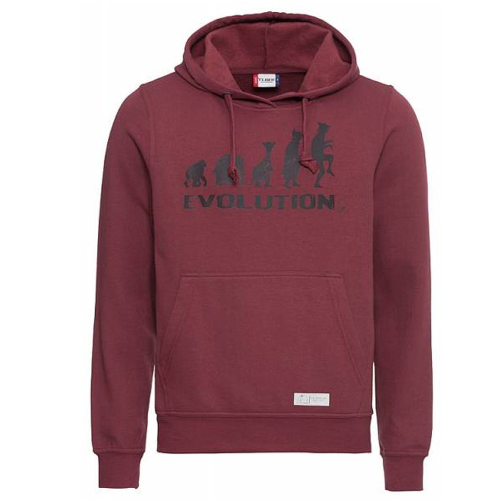 Hoodie_Evolution_bourdeau